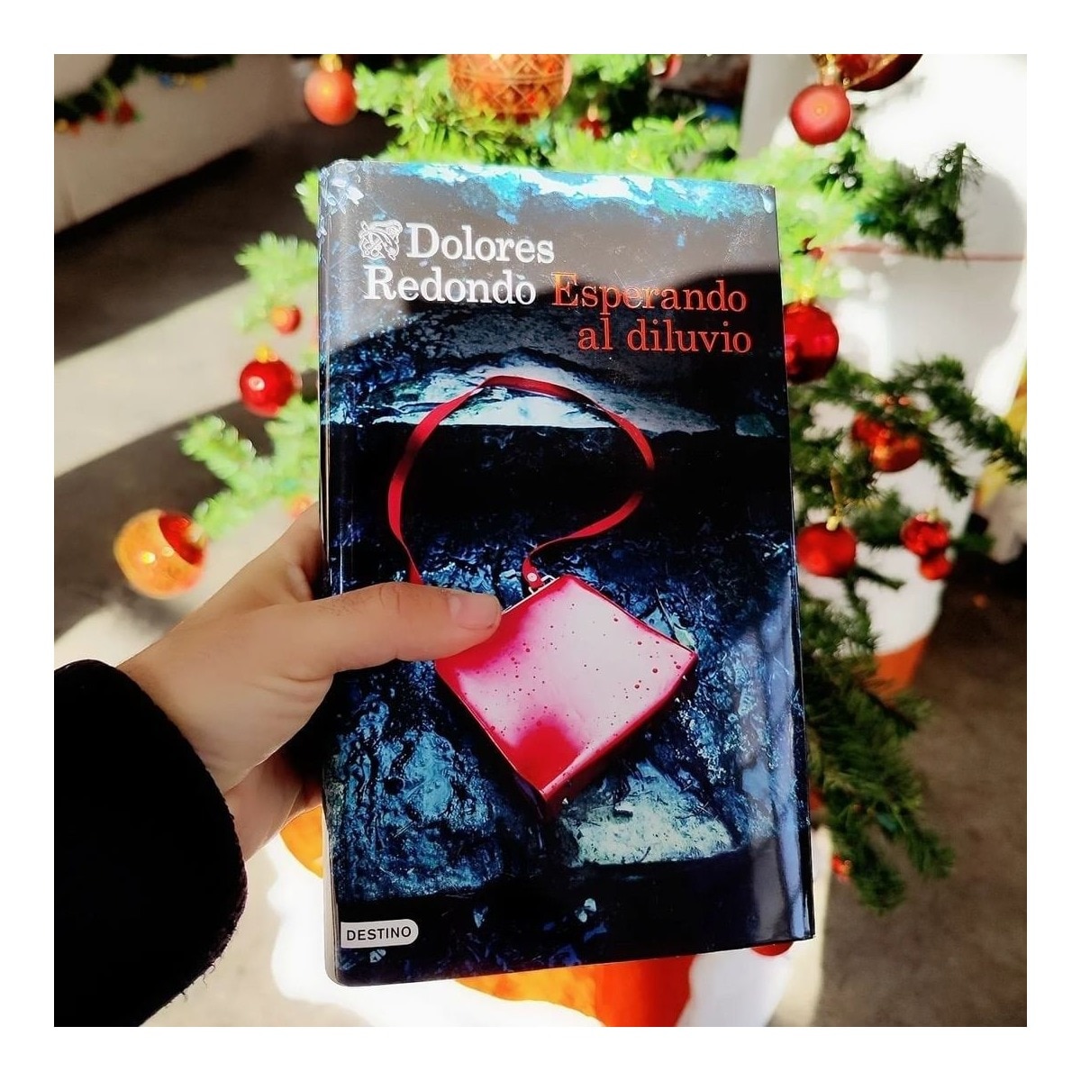 Esperando Al Diluvio 5