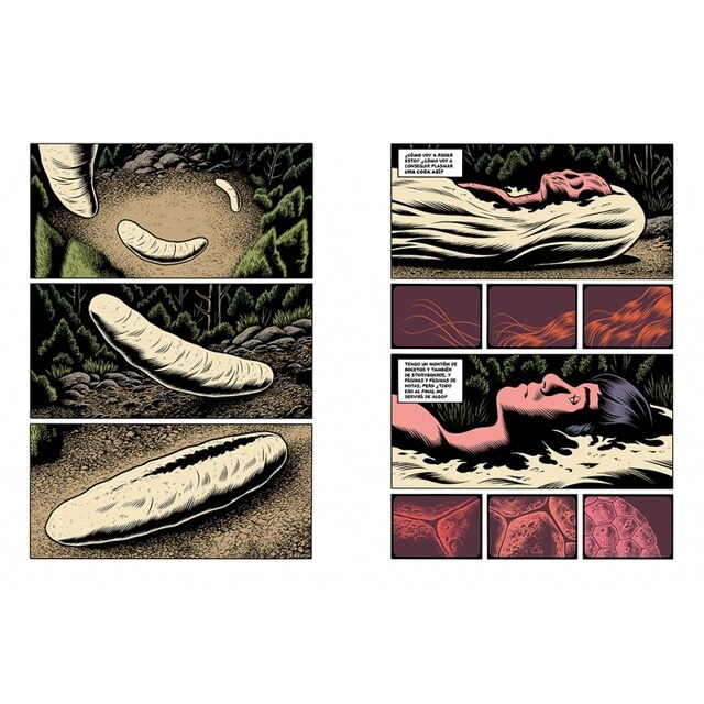 Laberintos 2 (Capa dura) 7