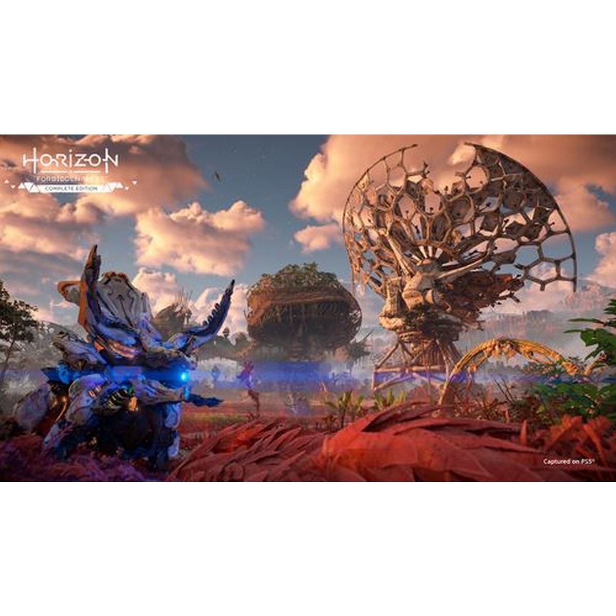Horizon Forbidden West - PlayStation 5 4