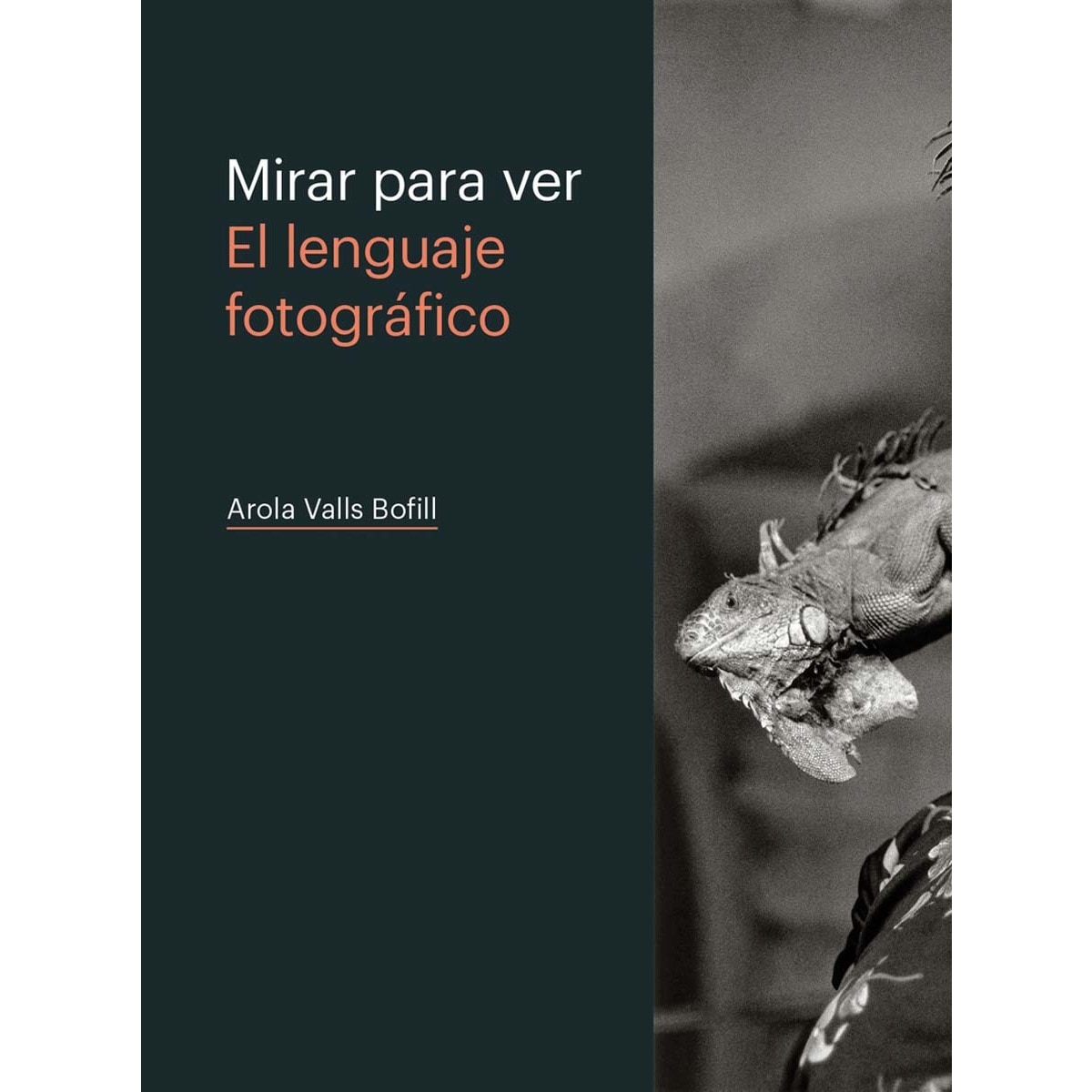 Imagem 0 de MIRAR PARA VER. EL LENGUAJE FOTOGRÁFICO (Capa mole)
