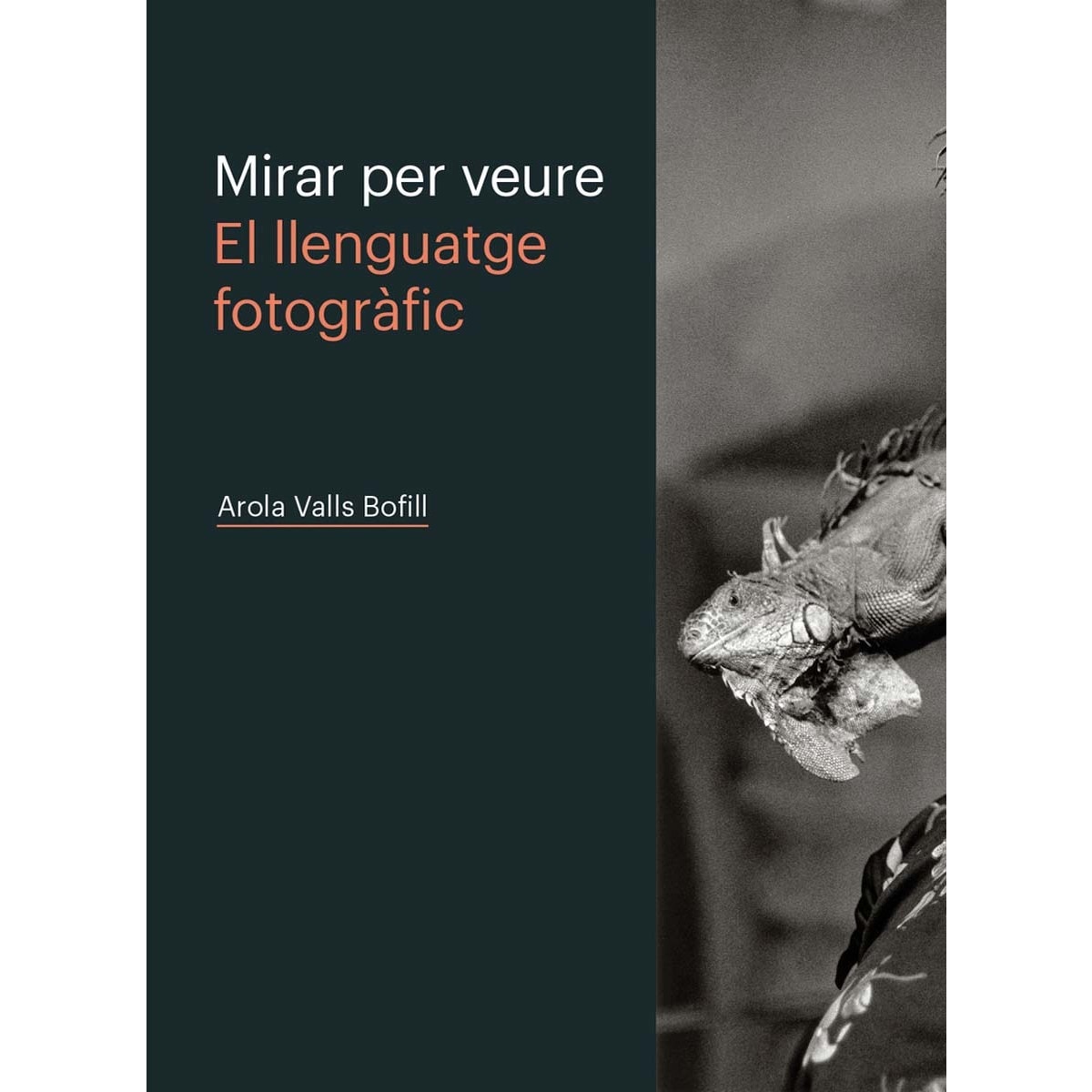 MIRAR PER VEURE. EL LLENGUATGE FOTOGRÀFIC (Capa mole) 1