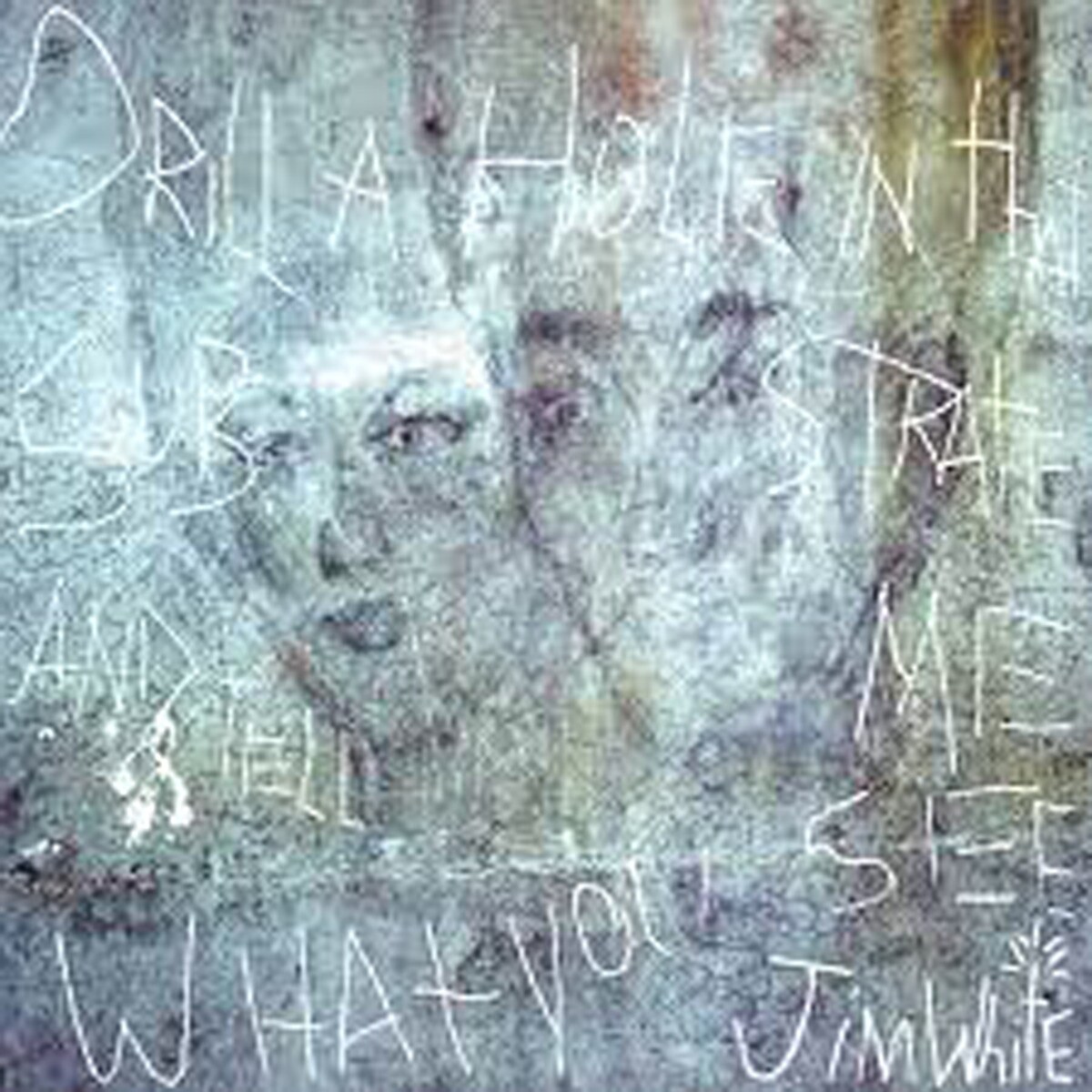 Drill a hole that substrate and tell me what you see (2 LP-Vinilo) 1