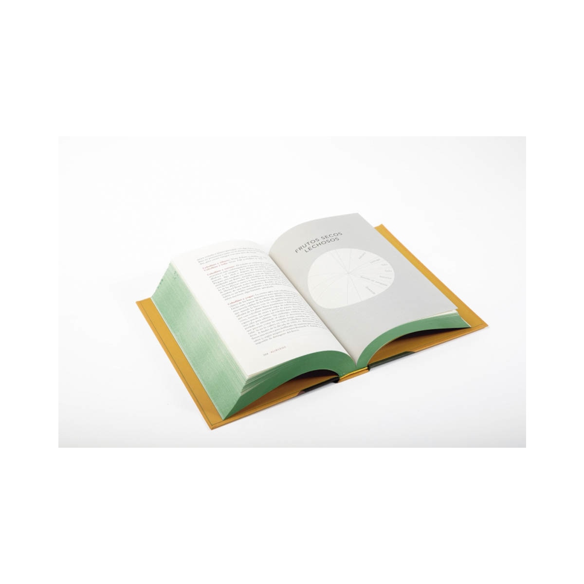 La enciclopedia de los sabores. Vol. 2: Más combinaciones con vegetales, nuevas recetas y deliciosas ideas (Capa dura) 2