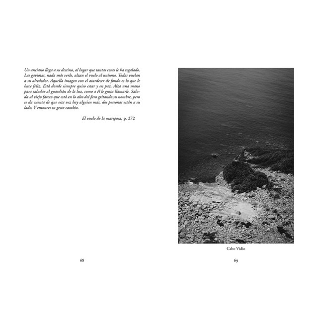 El vuelo de la mariposa (Capa mole) 3