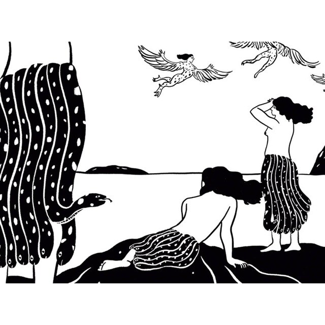 La isla del doctor Schubert (Capa mole) 3