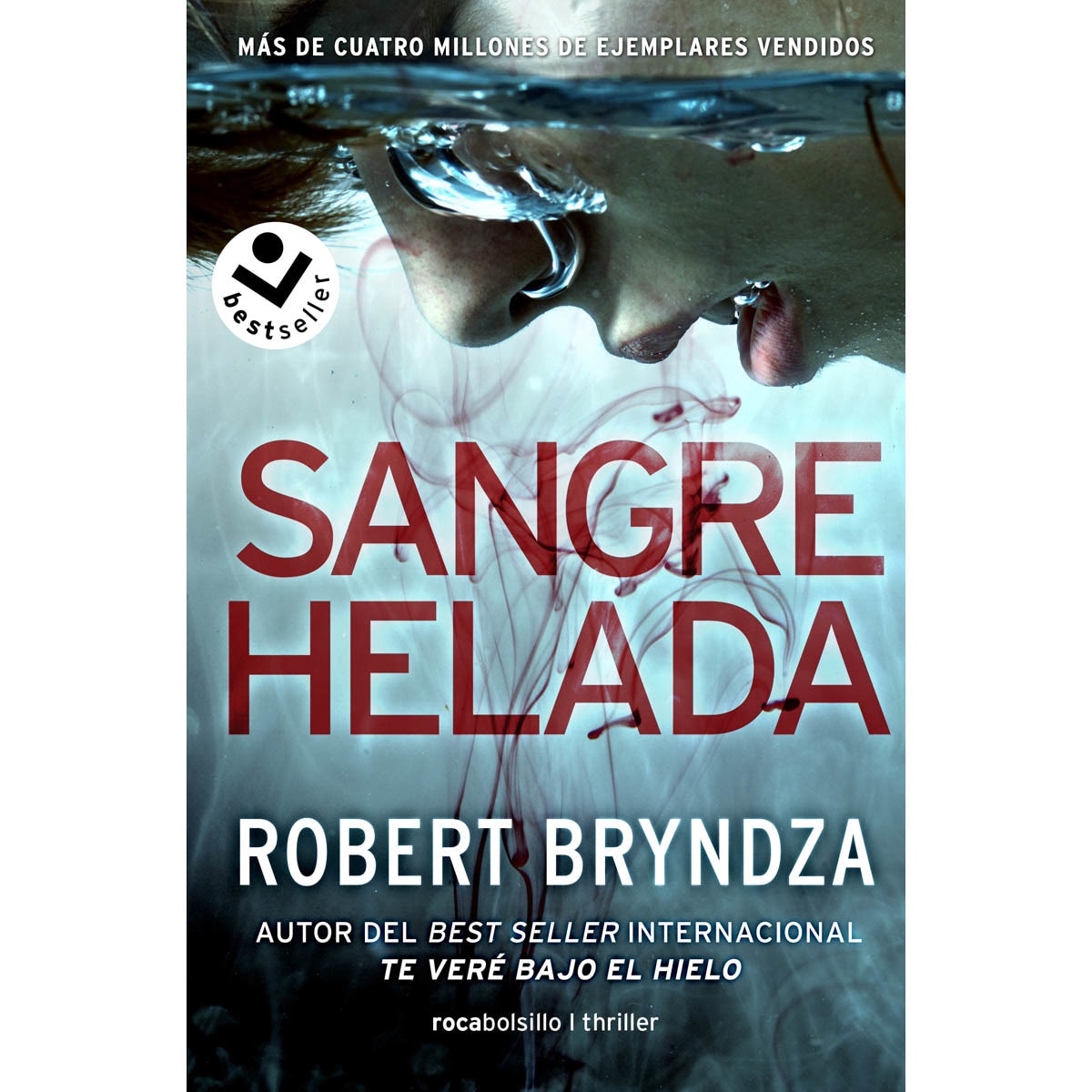Imagen 0 de Sangre helada (Serie Erika Foster 5)  (Tapa blanda)