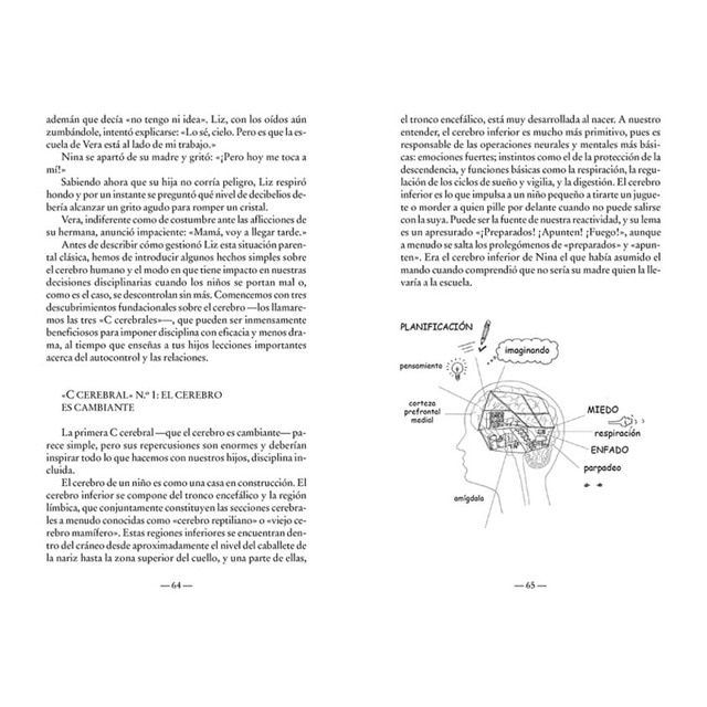 Disciplina sin lágrimas: Una guía imprescindible para orientar y alimentar el desarrollo mental de tu hijo (Bolsillo) (Tapa blanda) 3