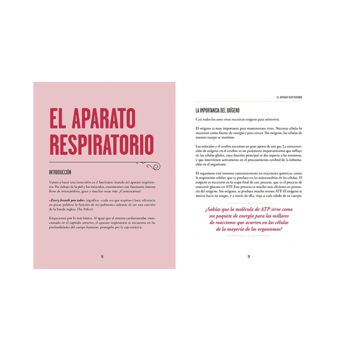 El otro cuerpo: Mapa del cuerpo femenino(Tapa dura) 6