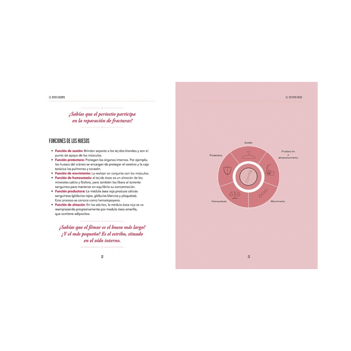 El otro cuerpo: Mapa del cuerpo femenino(Tapa dura) 3