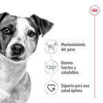 Mini Trockenfutter für ausgewachsene Mini-Hunde Tasche 2 kg