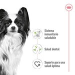 X-Small pienso para perros adultos minis bolsa 3 kg