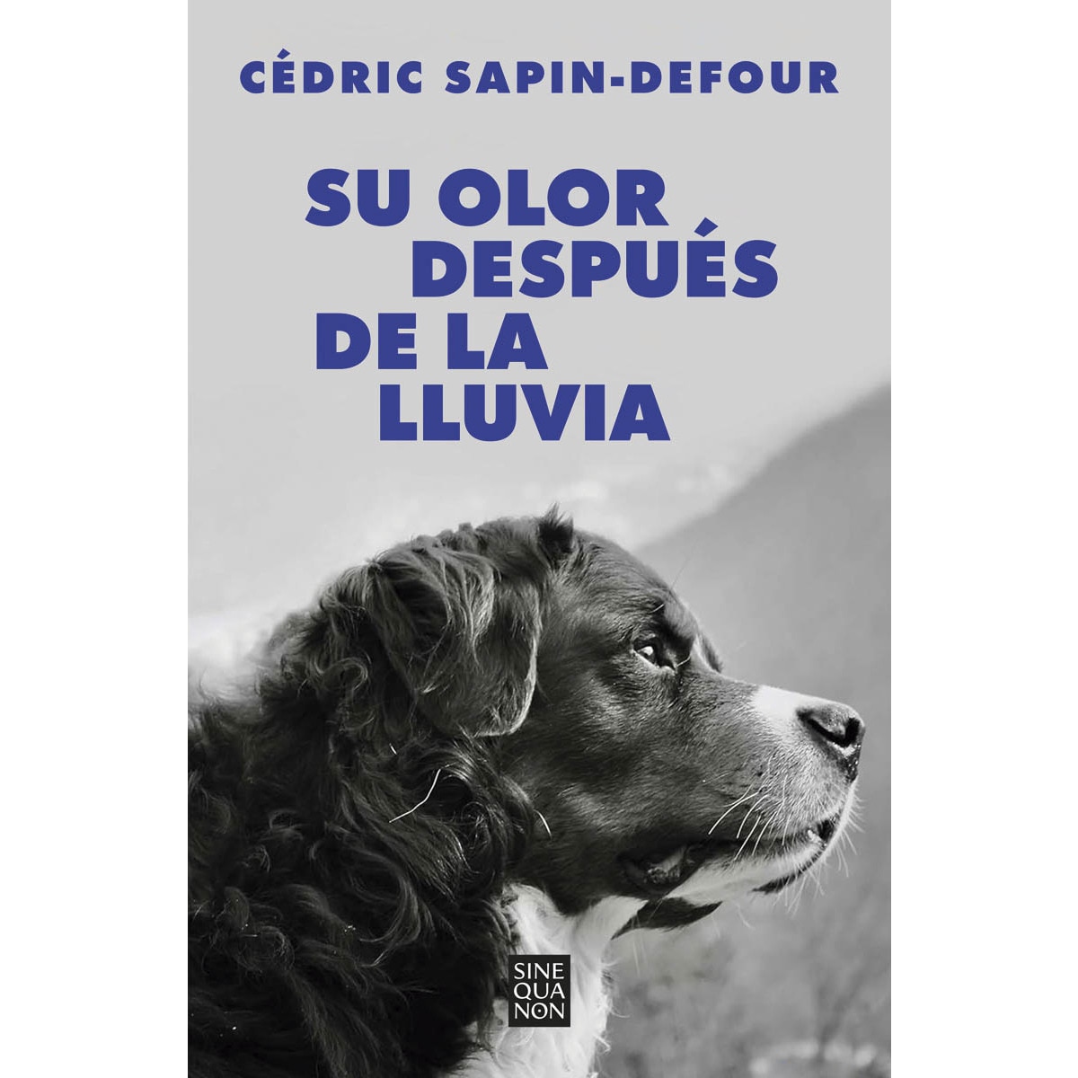 Imagen 0 de Su olor después de la lluvia  (Tapa blanda)