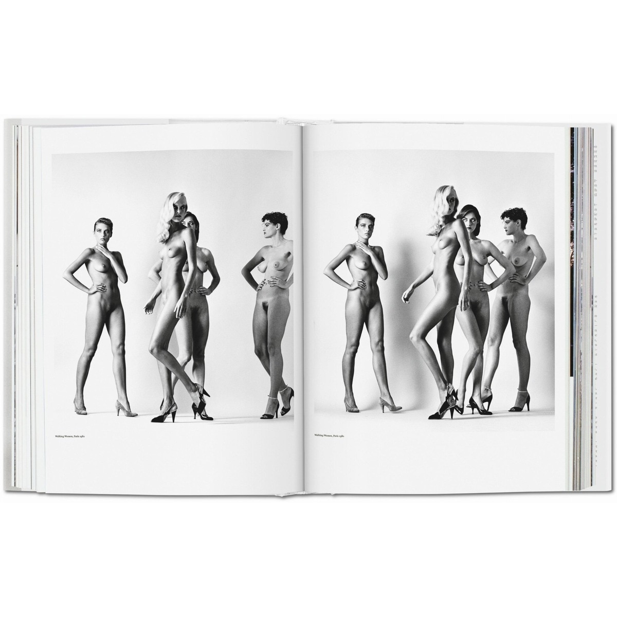 Helmut Newton. SUMO (Capa dura) 4