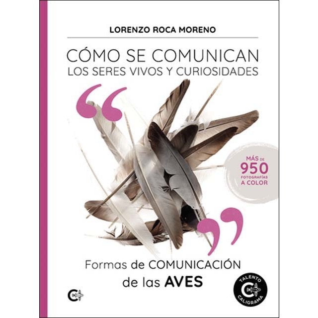 Formas de comunicación de las aves (Capa mole) 1