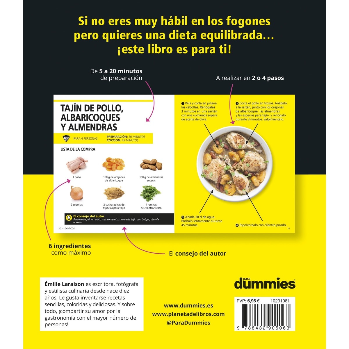 Plato único para Dummies (Capa dura) 2