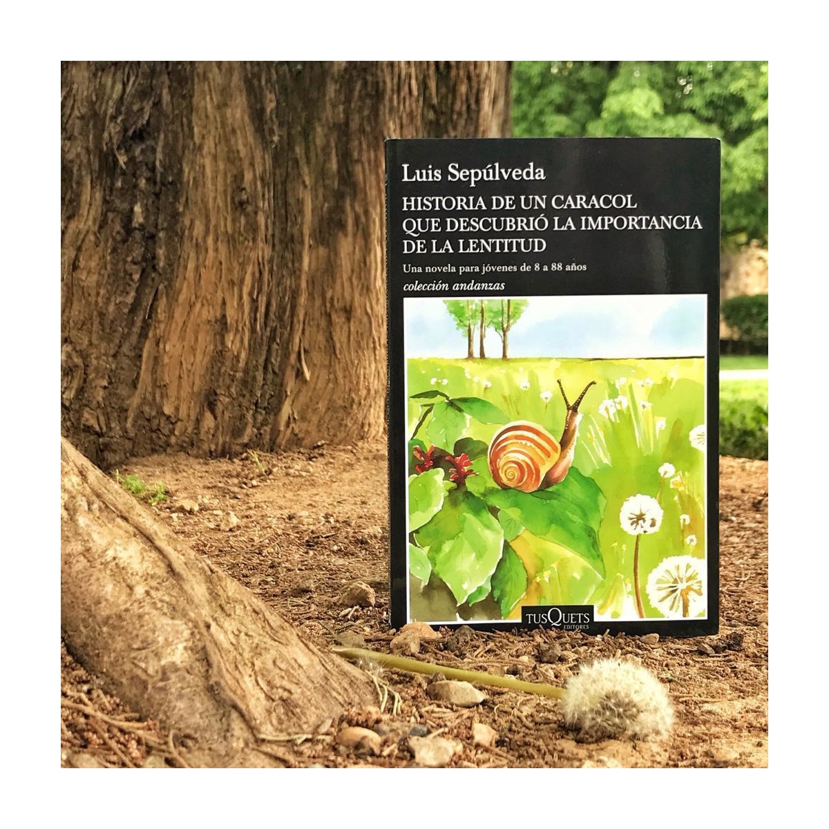 Historia de un caracol que descubrió la importancia de la lentitud (Capa mole com abas) 2