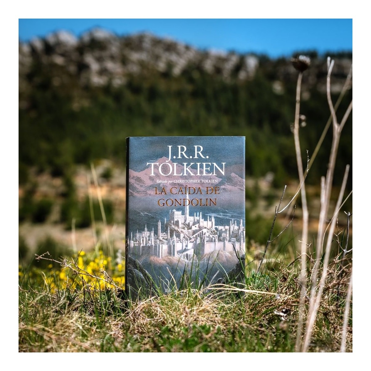 La Caída de Gondolin: Editado por Christopher Tolkien. Ilustrado por Alan Lee  (Tapa dura) 2