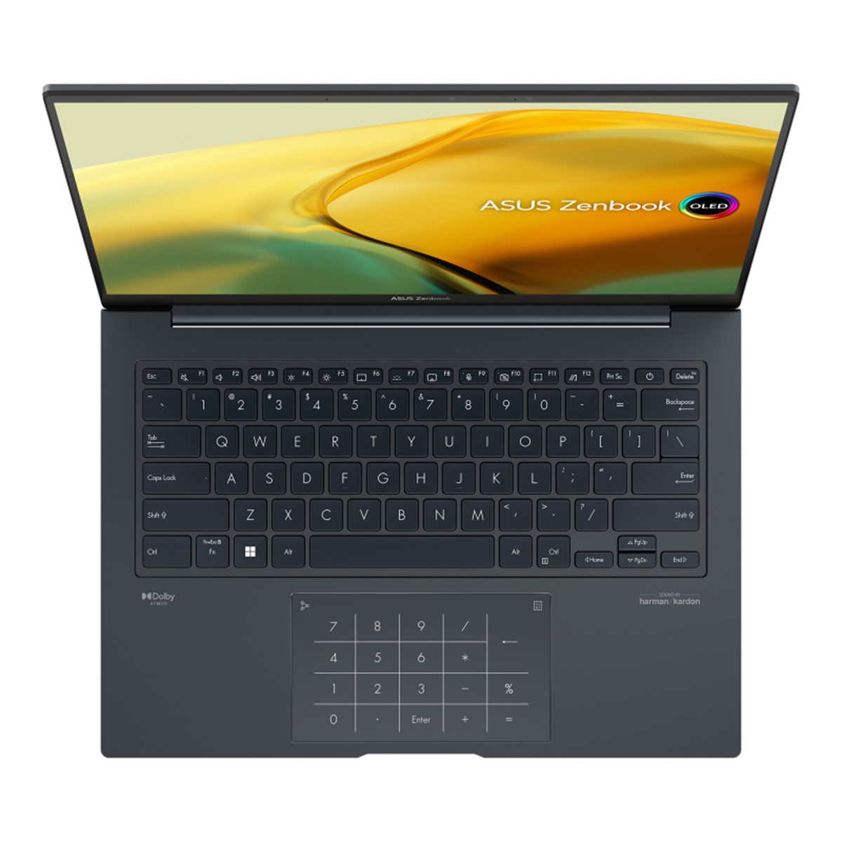Portátil ASUS Zenbook 14X OLED UX3404VC-M9181W, i9-13900H, 32GB