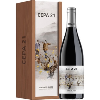 vino tinto reserva DO Ribera del Duero magnum 1,5 l - Cepa 21