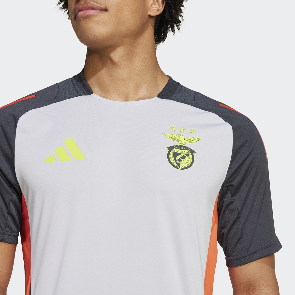 T-shirt de Homem SL Benfica 2024/2025 Tiro24 Training Jersey Cinzento-4