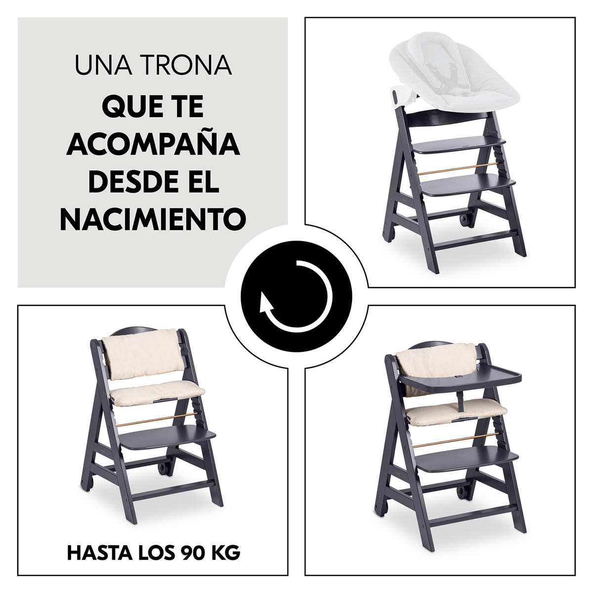 Trona Evolutiva Hauck Beta+ Gris oscuro-3