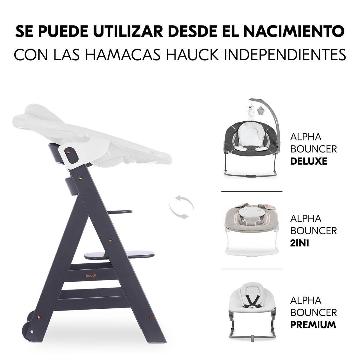 Trona Evolutiva Hauck Beta+ Gris oscuro-9