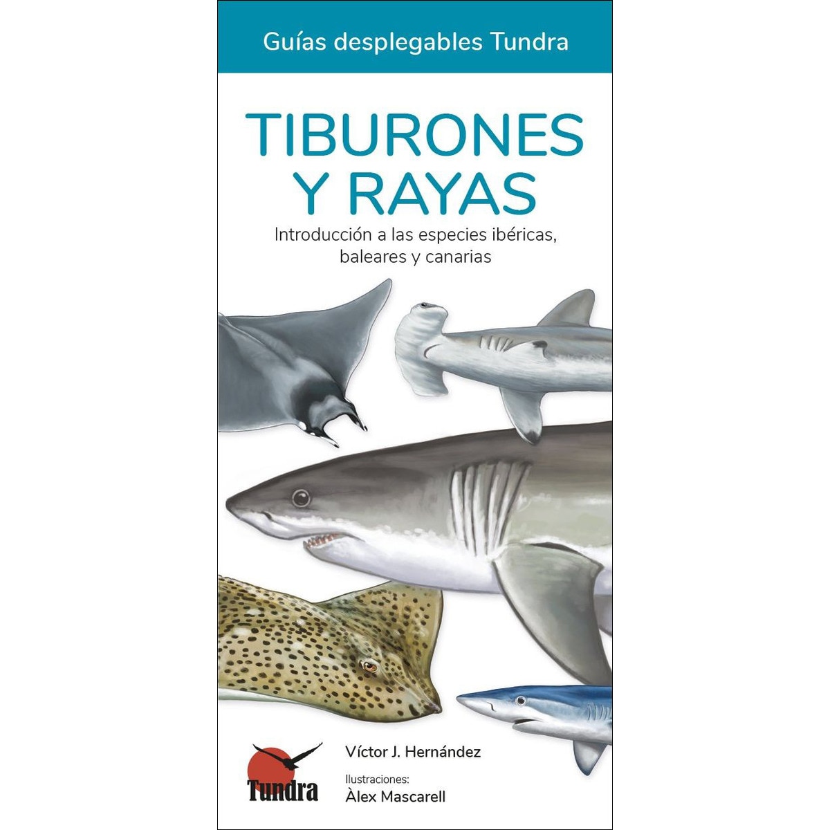 Imagem 0 de Tiburones y rayas - guías desplegables tundra