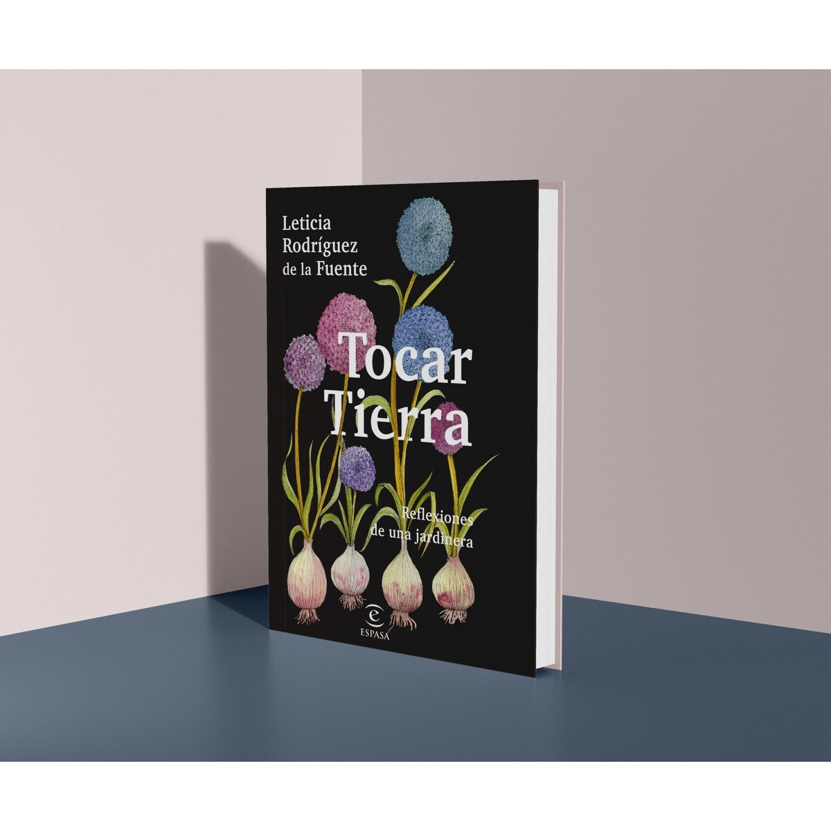 Tocar tierra 6