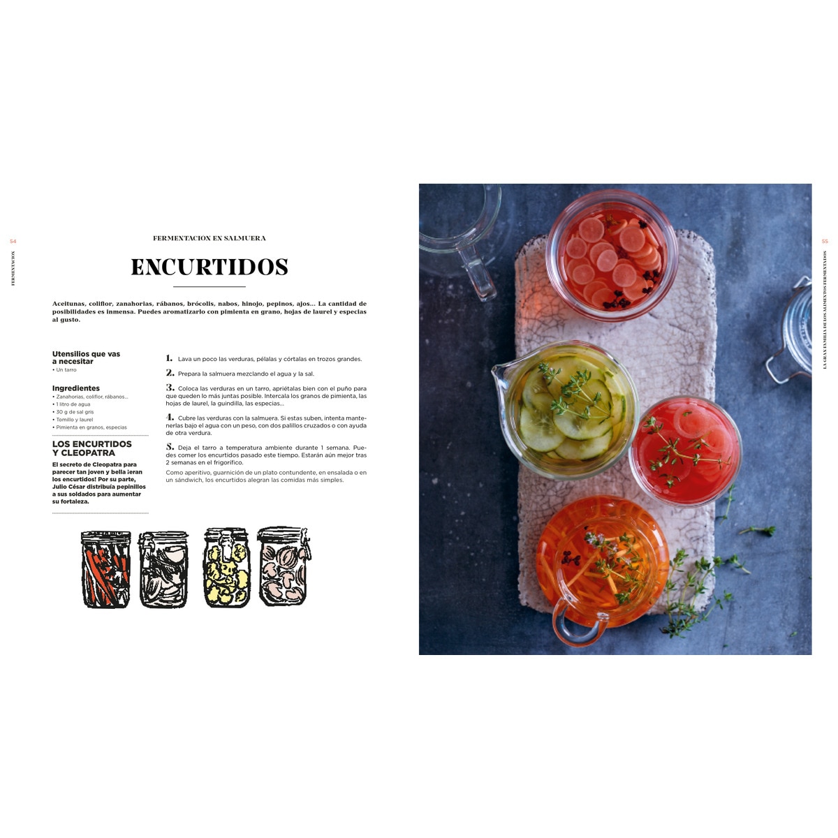 Fermentación: Historia, usos y recetas 2