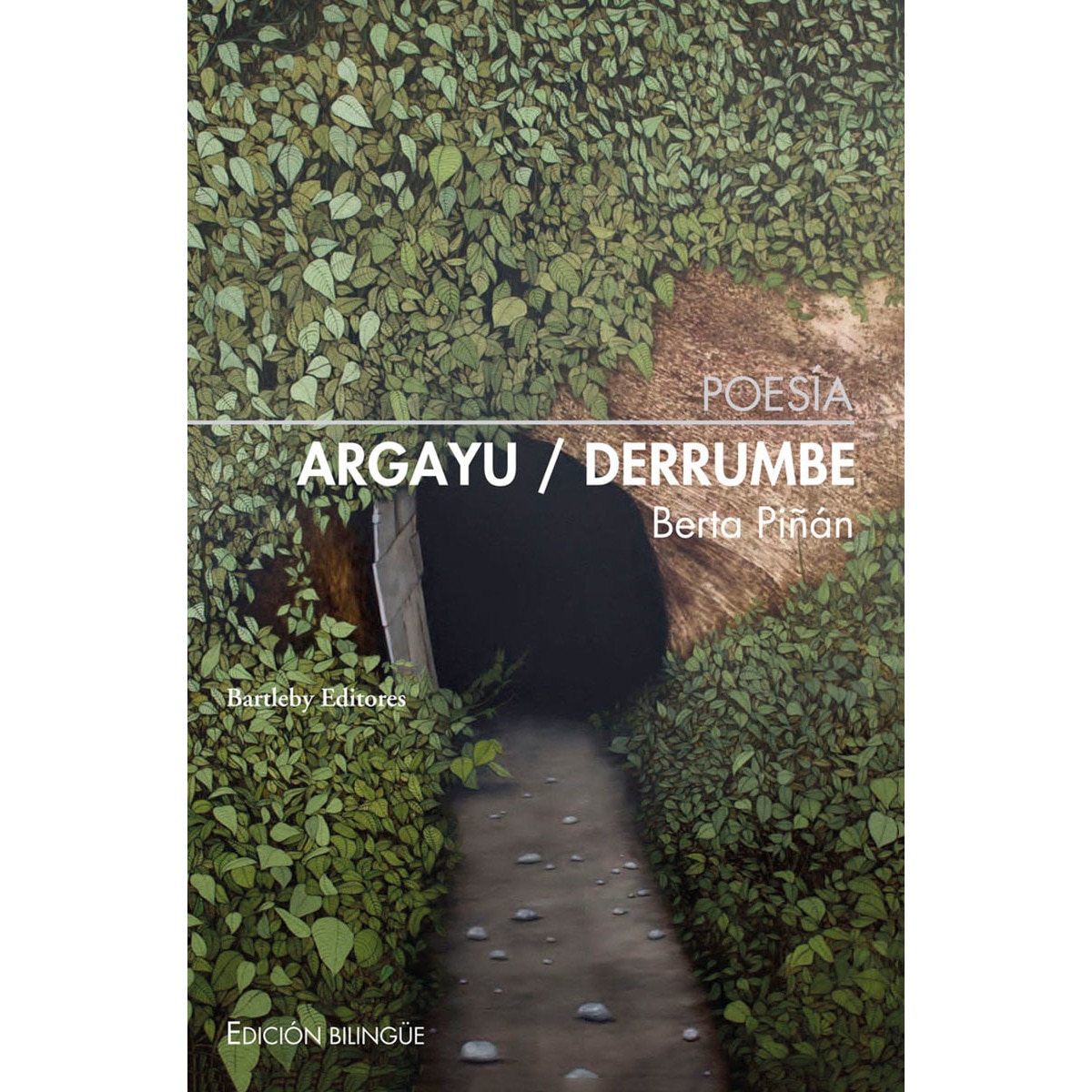 Imagen 0 de Argayu/derrumbe