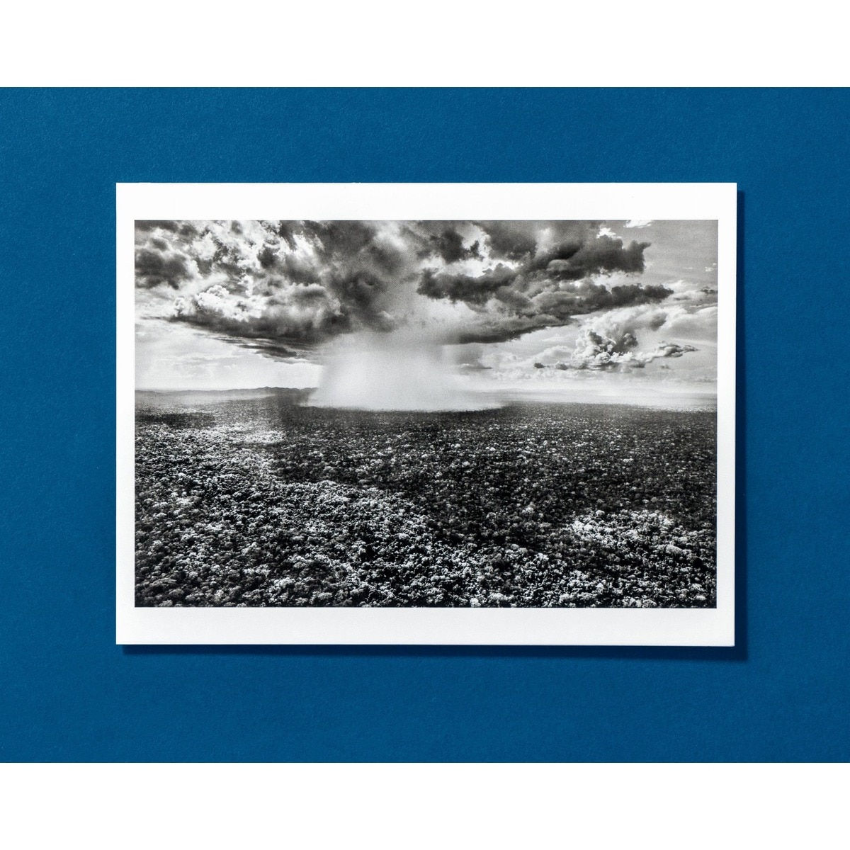 Sebastião Salgado. Amazônia. Postcard Set 11