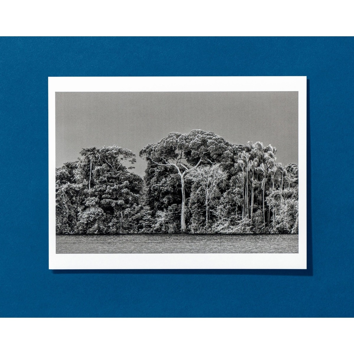 Sebastião Salgado. Amazônia. Postcard Set 3