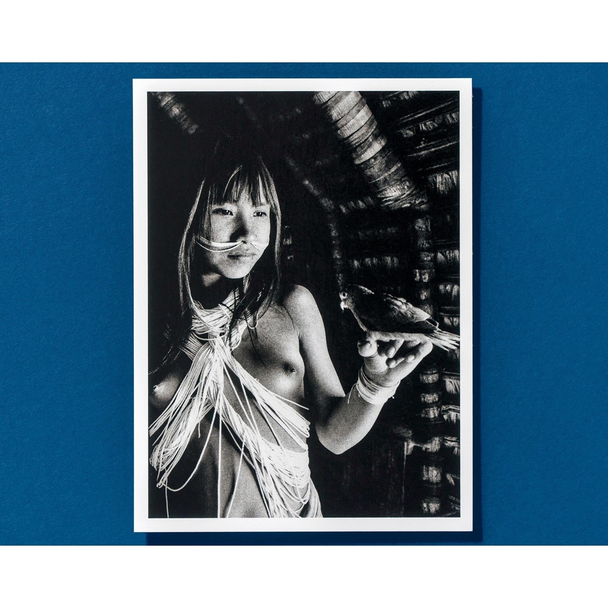 Sebastião Salgado. Amazônia. Postcard Set 5