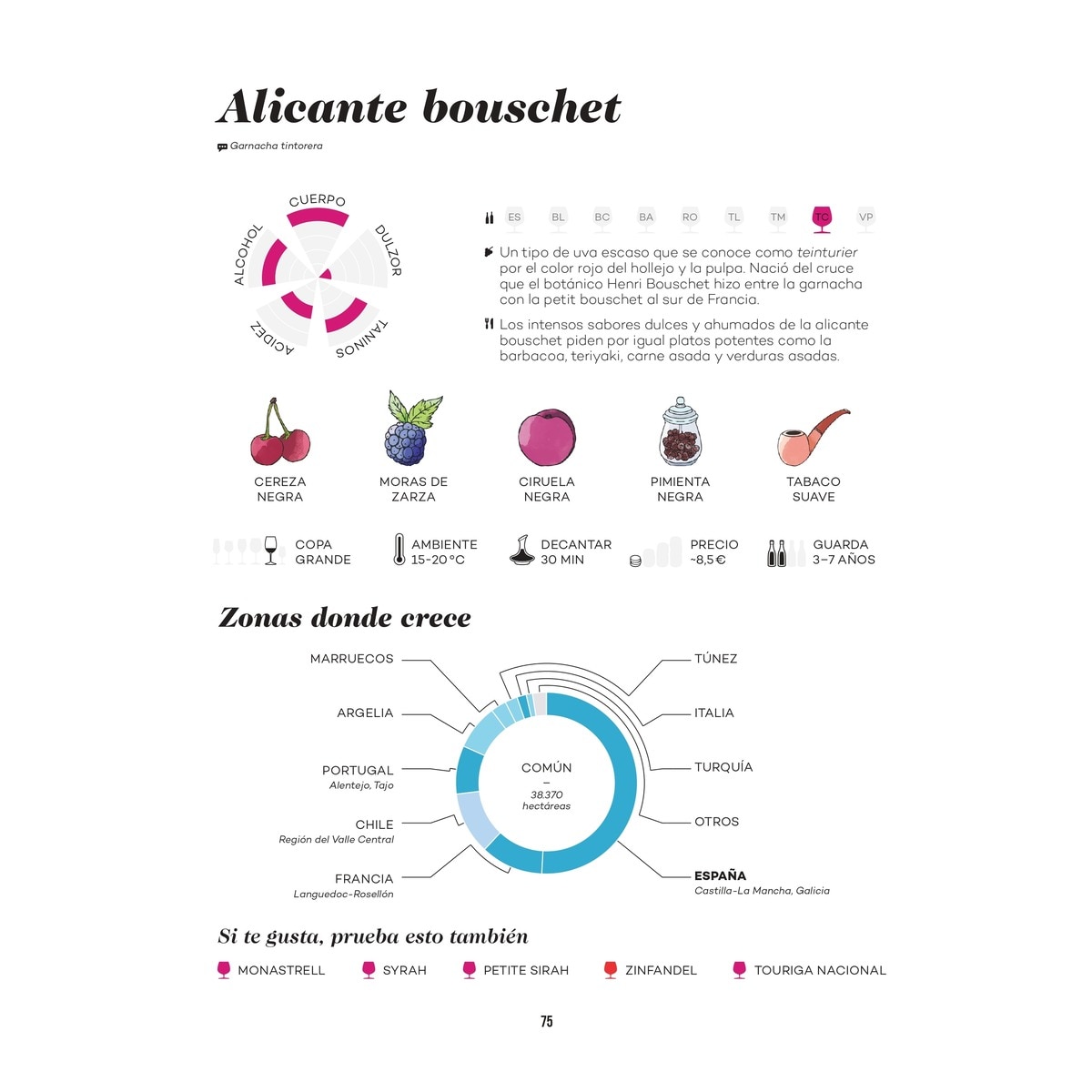 Wine Folly: Edición Magnum: La guía maestra del vino  (Tapa dura) 3