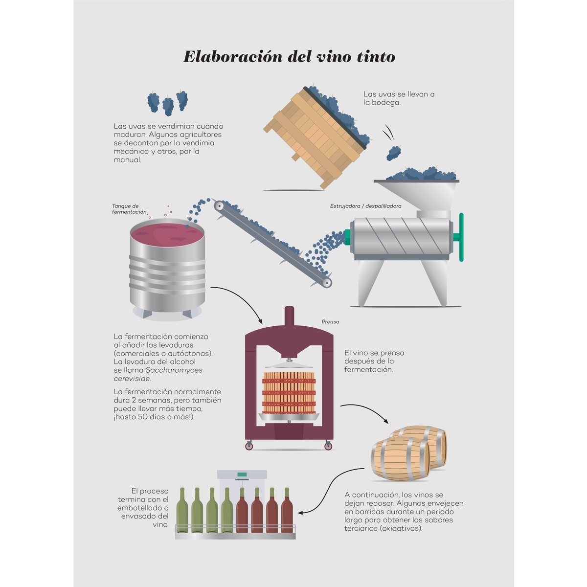 Wine Folly: Edición Magnum: La guía maestra del vino  (Tapa dura) 6