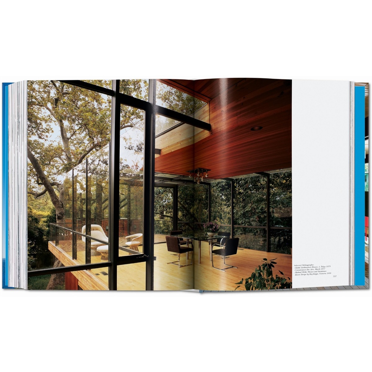 Julius Shulman. Modernism Rediscovered (Capa dura) 8