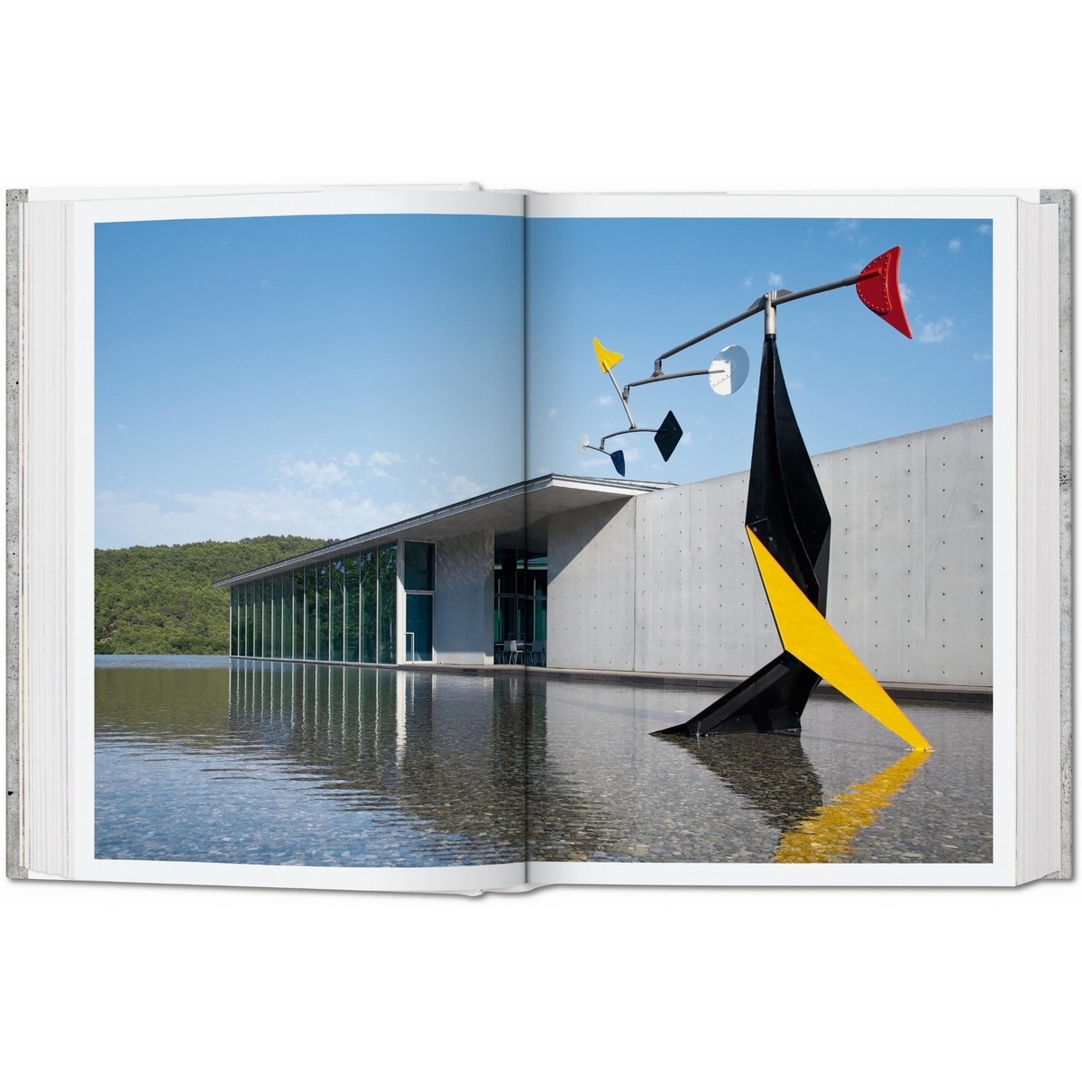 Contemporary Concrete Buildings (Capa dura) 7