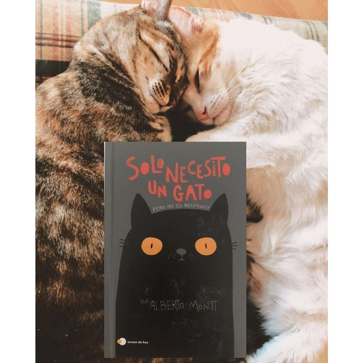 Solo necesito un gato(Tapa dura) 3