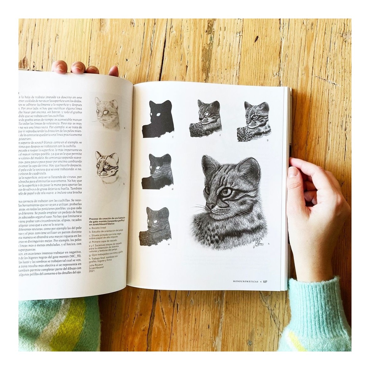 Manual de ilustración científica 3