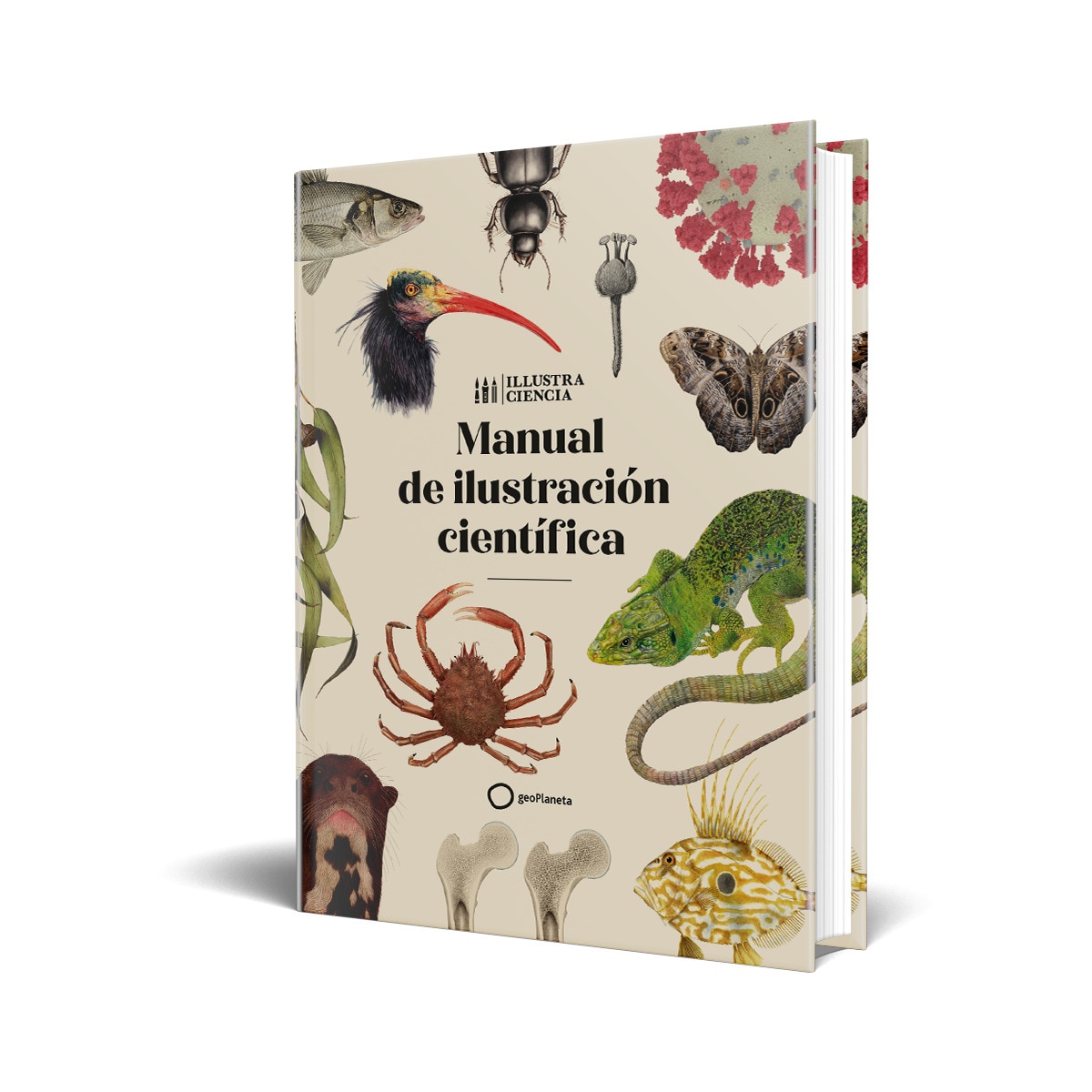 Manual de ilustración científica 5