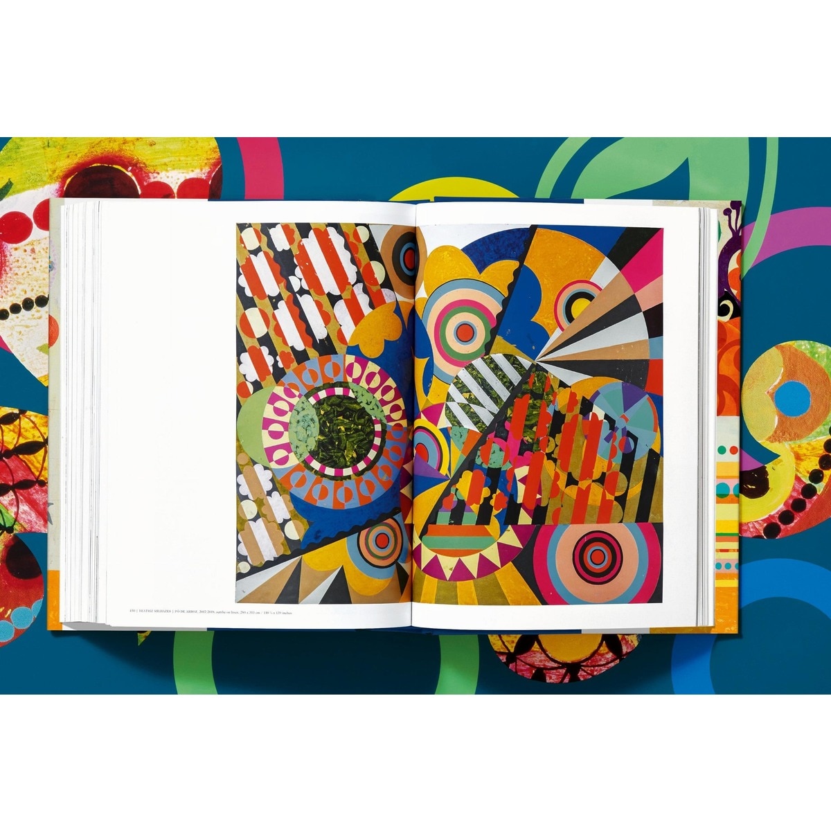 Beatriz Milhazes (Capa dura) 9