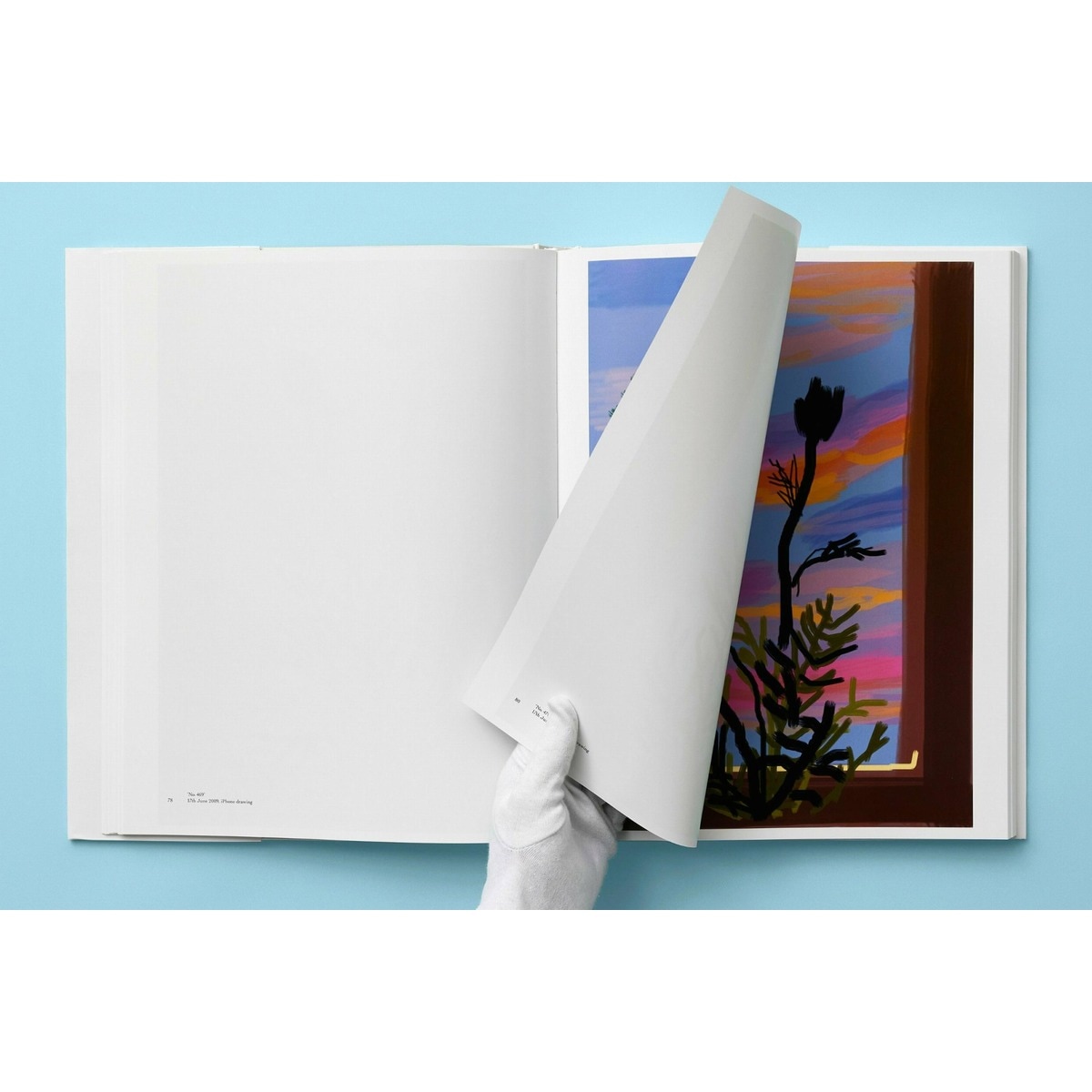 David Hockney. My Window (Capa dura) 20