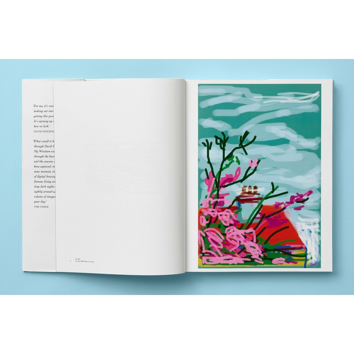 David Hockney. My Window (Capa dura) 6