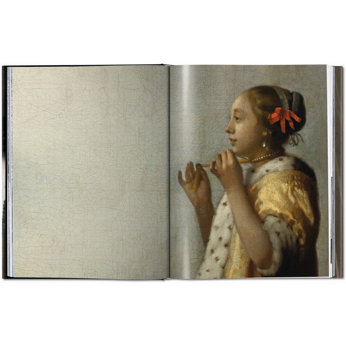 Vermeer. L'opera completa (Capa dura) 2