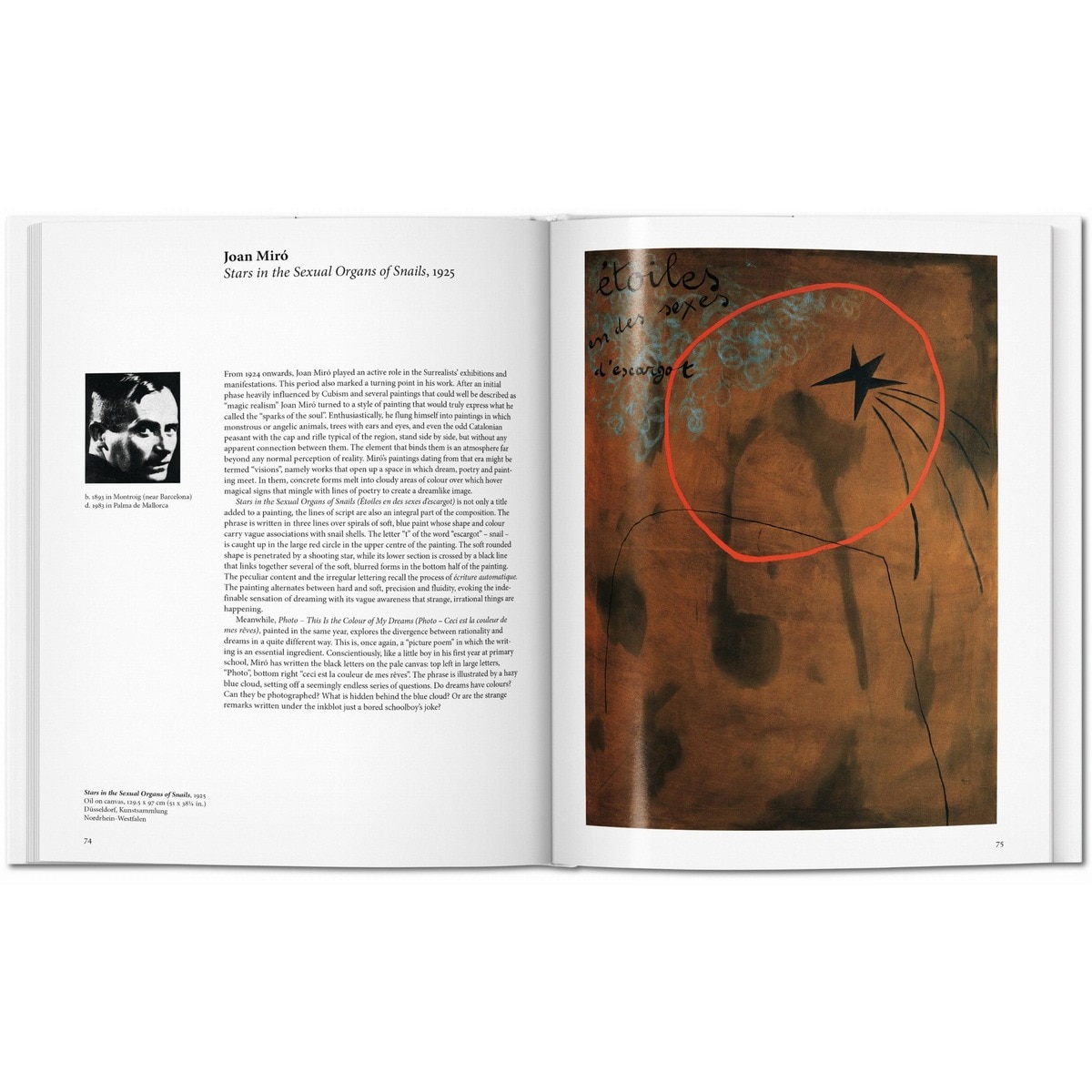 Surrealismo (Capa dura) 5