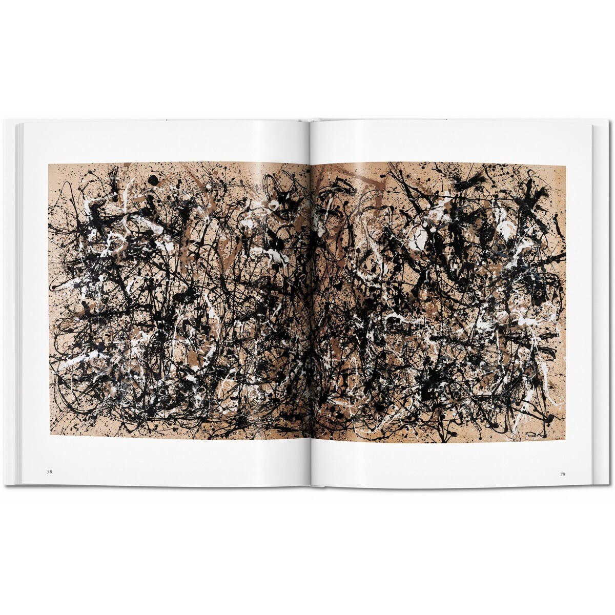 Pollock (Capa dura) 2