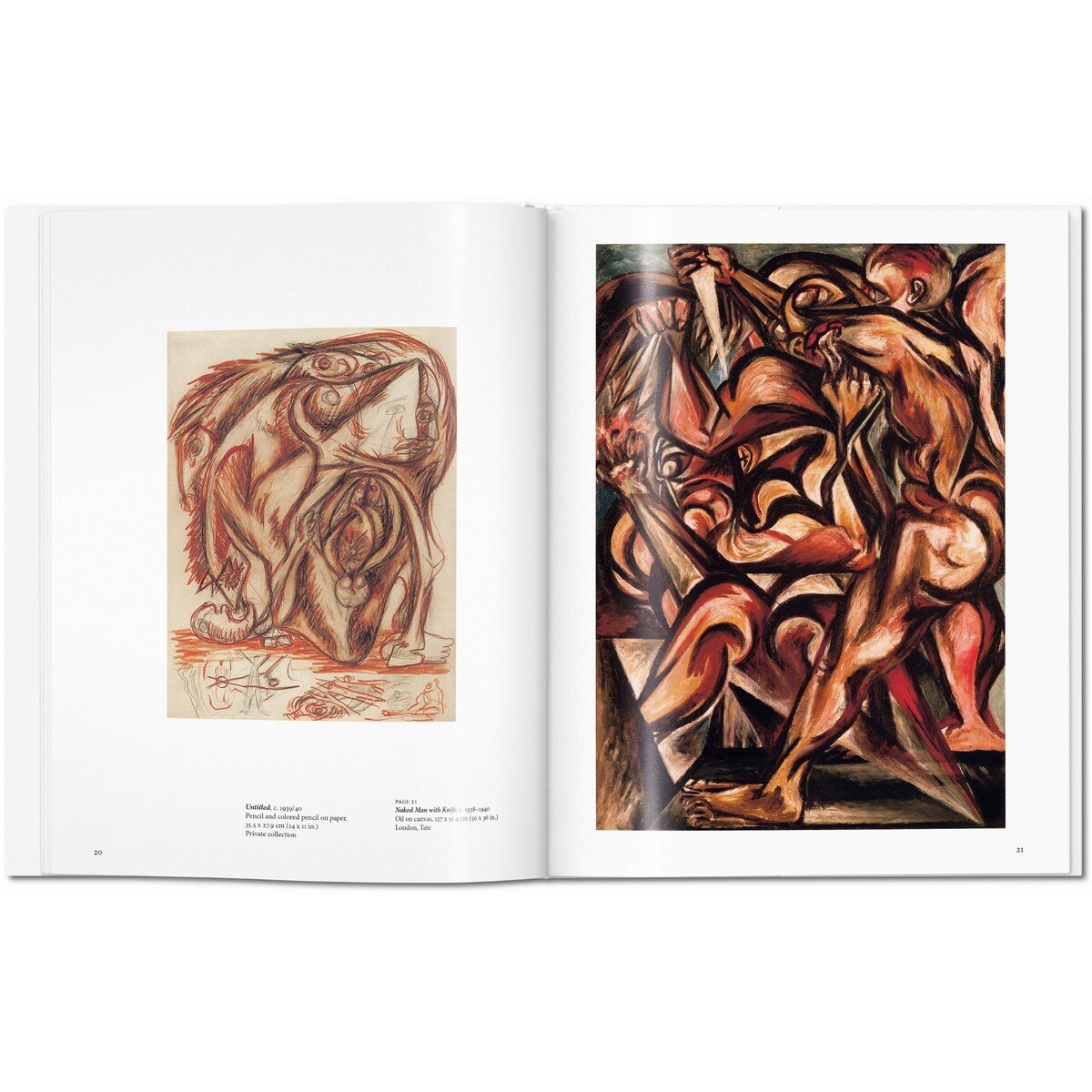 Pollock (Capa dura) 4