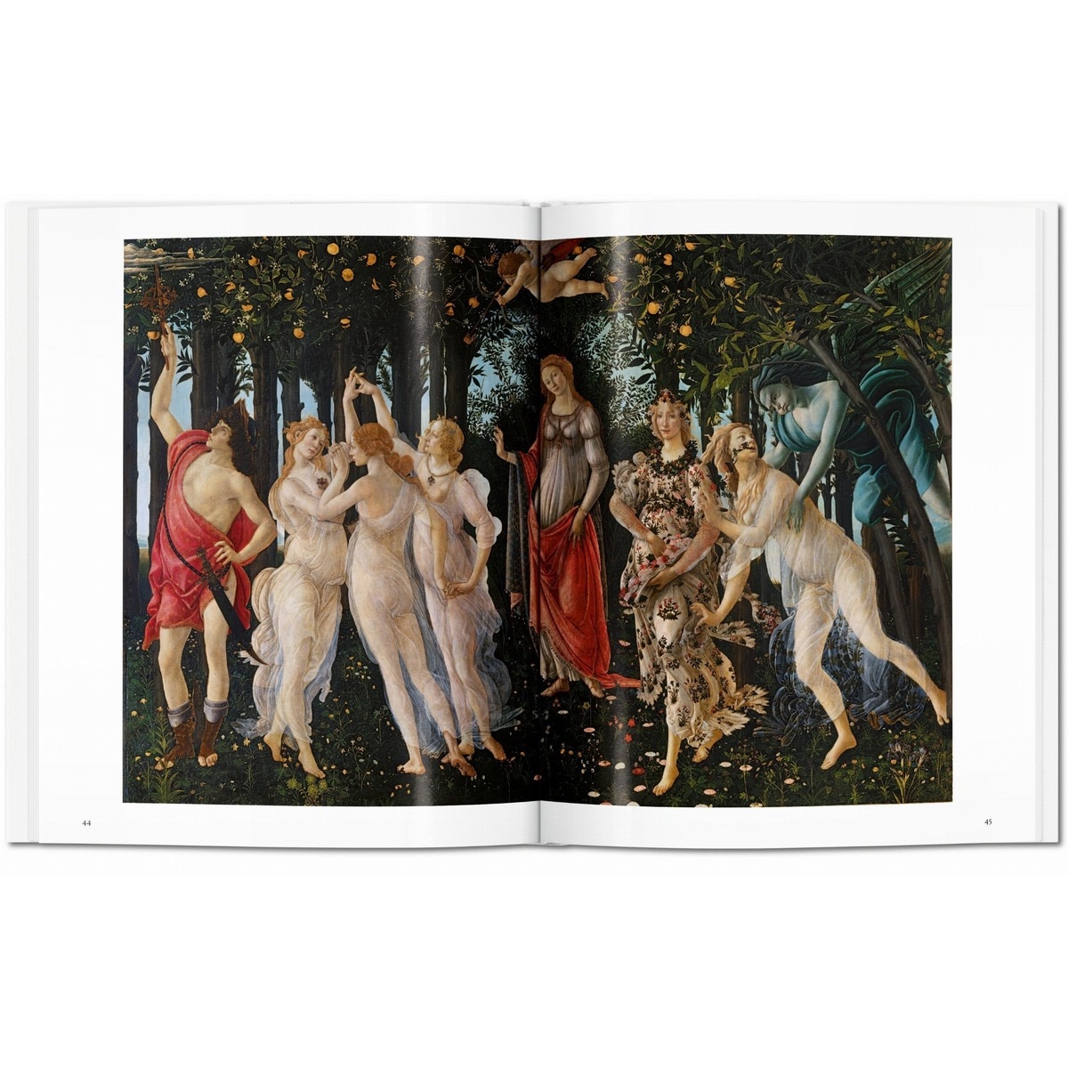 Botticelli (Capa dura) 4