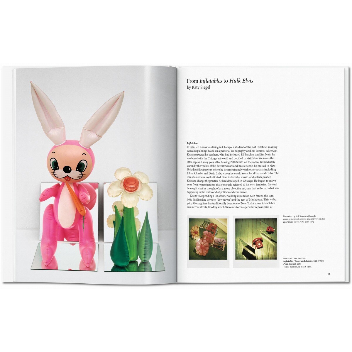 Koons (Capa dura) 2