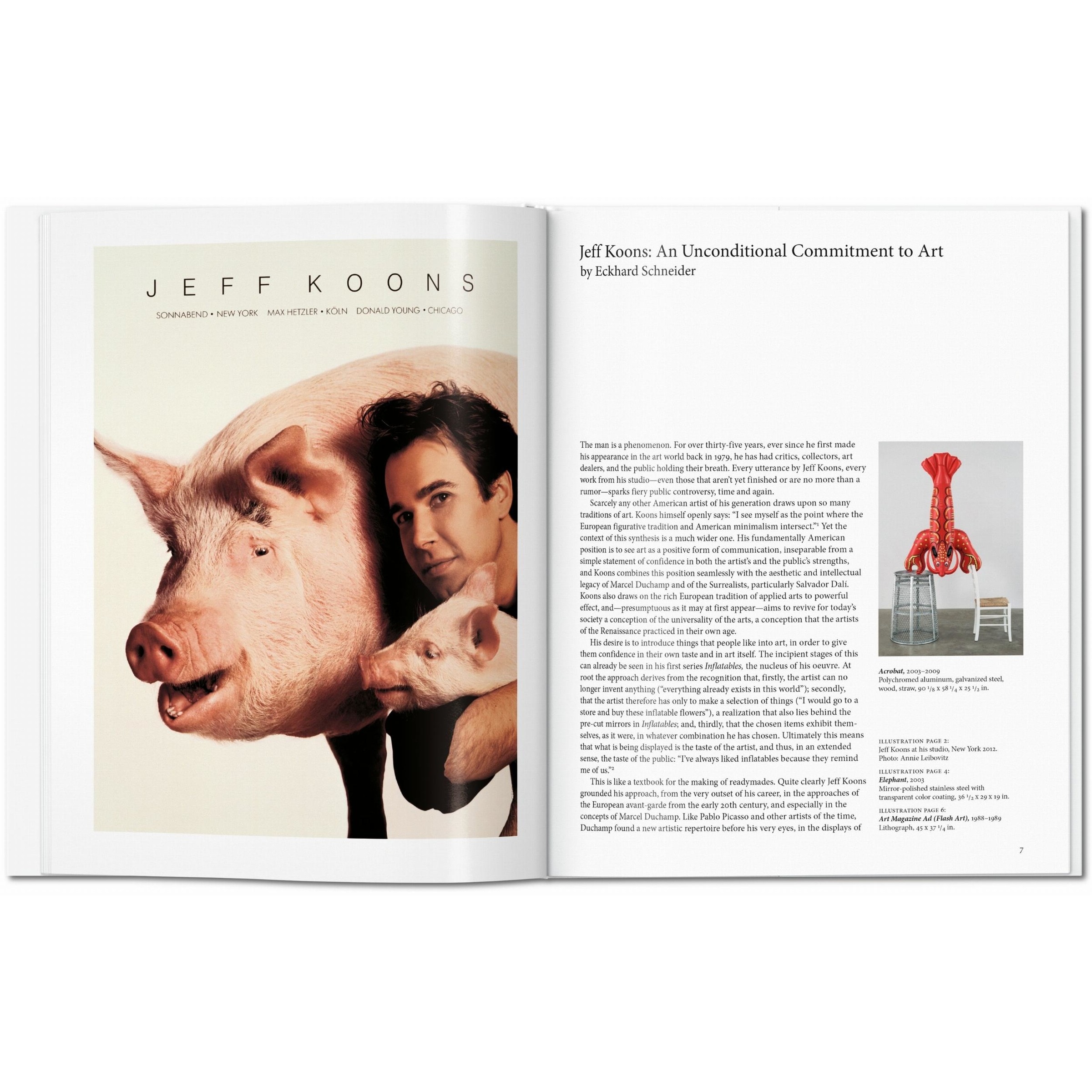 Koons (Capa dura) 5
